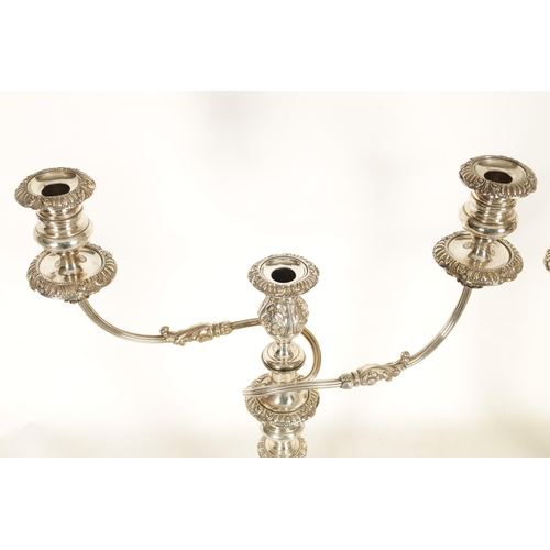 357 - A LARGE PAIR OF GEORGE IV SHEFFIELD PLATE TWO BRANCH CANDELABRA decorated with acanthus leaves and f... 