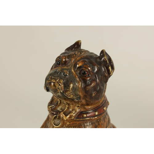 755 - FRANZ BERGMANN, A LATE 19TH CENTURY AUSTRIAN COLD PAINTED BRONZE SCULPTURE OF A BULL MASTIFF depicte... 