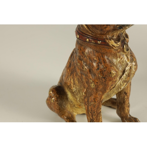 755 - FRANZ BERGMANN, A LATE 19TH CENTURY AUSTRIAN COLD PAINTED BRONZE SCULPTURE OF A BULL MASTIFF depicte... 