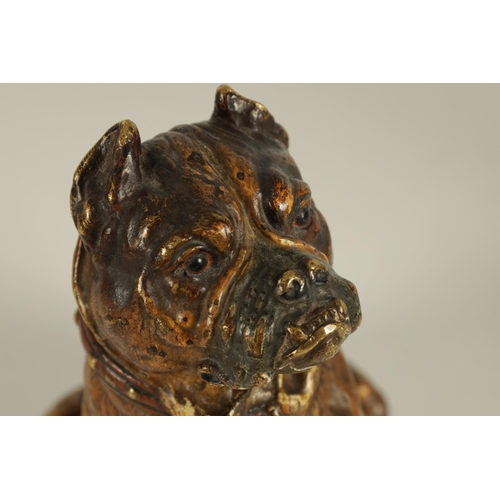 755 - FRANZ BERGMANN, A LATE 19TH CENTURY AUSTRIAN COLD PAINTED BRONZE SCULPTURE OF A BULL MASTIFF depicte... 