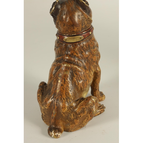 755 - FRANZ BERGMANN, A LATE 19TH CENTURY AUSTRIAN COLD PAINTED BRONZE SCULPTURE OF A BULL MASTIFF depicte... 