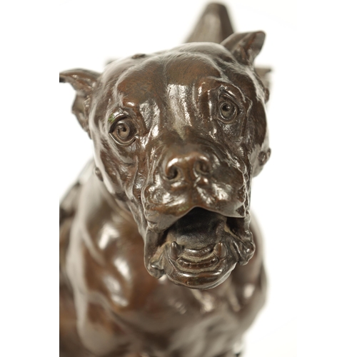 776 - PROSPER LECOURTIER (1855 - 1924) A LATE 19TH CENTURY BULL MASTIFF DOG BRONZE SCULPTURE Prenez Garde ... 