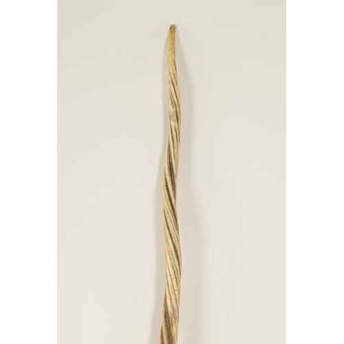 795 - A FINE 19TH CENTURY NARWHAL TUSK with label of authentication from the British Museum signed J J Har... 