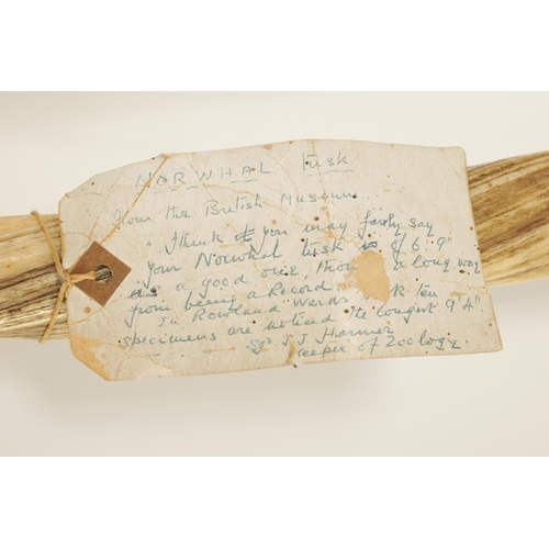 795 - A FINE 19TH CENTURY NARWHAL TUSK with label of authentication from the British Museum signed J J Har... 