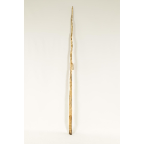 795 - A FINE 19TH CENTURY NARWHAL TUSK with label of authentication from the British Museum signed J J Har... 