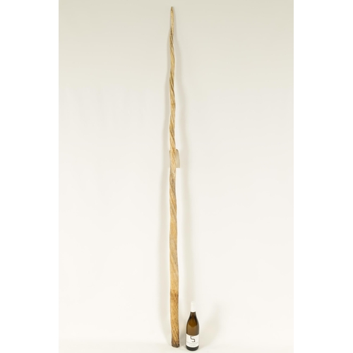 795 - A FINE 19TH CENTURY NARWHAL TUSK with label of authentication from the British Museum signed J J Har... 