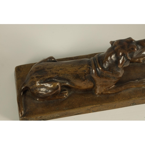 797 - FRIEDRICH GORNIK 1877-1943 AN AUSTRIAN COLD PAINTED BRONZE SCULPTURE OF A RECUMBENT HOUND with pale ... 