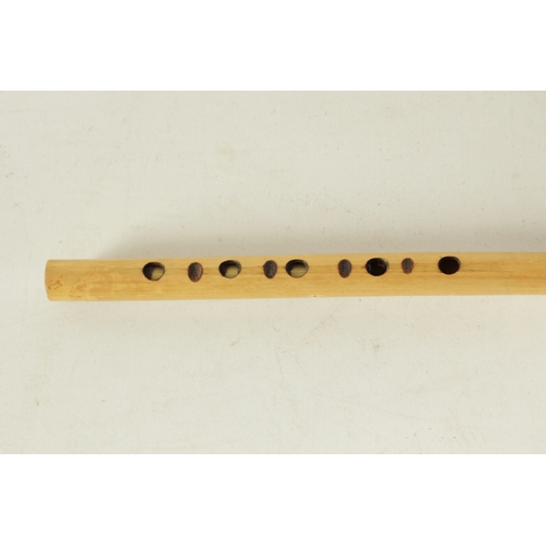 129 - A COLLECTION OF THREE HORN PIPES one with a cut away end.(38cm overall and smaller.)