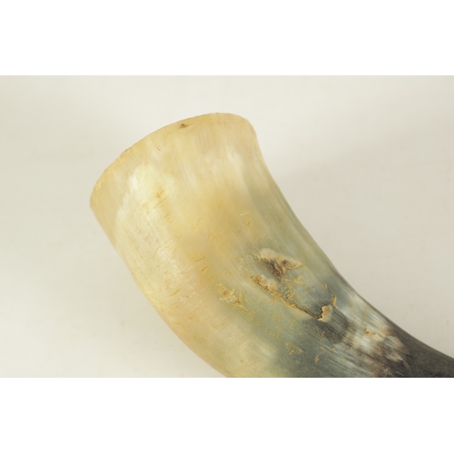 129 - A COLLECTION OF THREE HORN PIPES one with a cut away end.(38cm overall and smaller.)