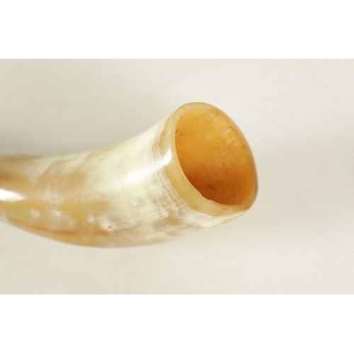 129 - A COLLECTION OF THREE HORN PIPES one with a cut away end.(38cm overall and smaller.)