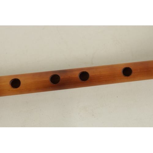 129 - A COLLECTION OF THREE HORN PIPES one with a cut away end.(38cm overall and smaller.)