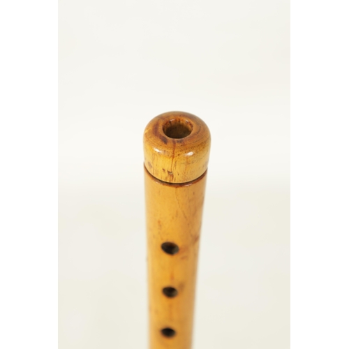 132 - A VINTAGE DOUBLE REED CYPRIOT SHAWM of conical form with 7 finger holes and removable double reed mo... 