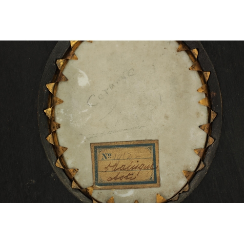 104 - A LATE 19TH CENTURY VIENNA OVAL MINIATURE CONVEX PORCELAIN PANEL depicting a side view of a semi-nud... 