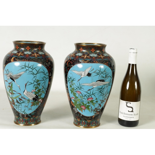 117 - A PAIR OF JAPANESE MEIJI PERIOD LARGE OVOID CLOISONNE VASES decorated bird in flowering landscape bl... 