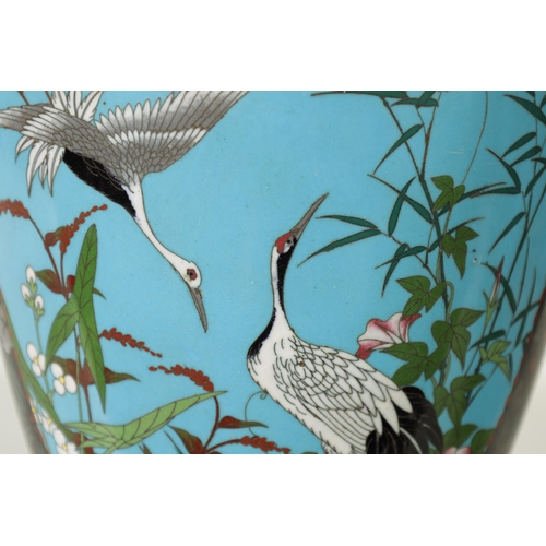 117 - A PAIR OF JAPANESE MEIJI PERIOD LARGE OVOID CLOISONNE VASES decorated bird in flowering landscape bl... 