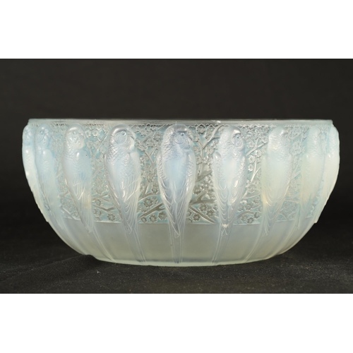 9 - A RENE LALIQUE OPALESCENT BLUE STAINED 'PERRUCHES' BOWL stencil mark 'R. LALIQUE, FRANCE'. (25cm dia... 