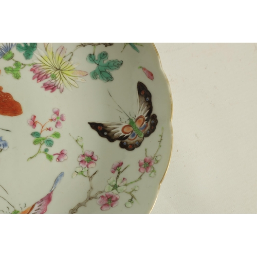 202 - A CHINESE QUING FAMILLE ROSE PORCELAIN PLATE decorated with butterflies amongst blossoming branches,... 