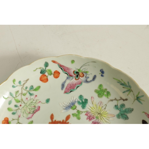 202 - A CHINESE QUING FAMILLE ROSE PORCELAIN PLATE decorated with butterflies amongst blossoming branches,... 