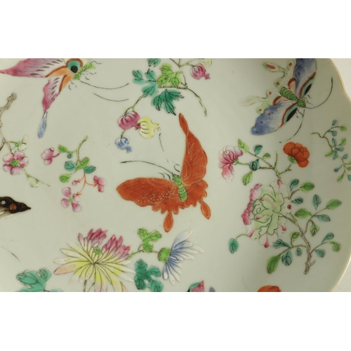 202 - A CHINESE QUING FAMILLE ROSE PORCELAIN PLATE decorated with butterflies amongst blossoming branches,... 