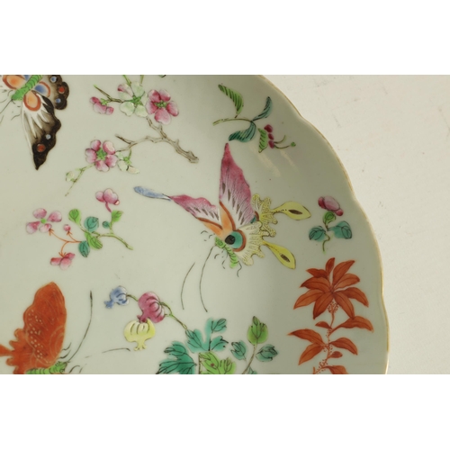 202 - A CHINESE QUING FAMILLE ROSE PORCELAIN PLATE decorated with butterflies amongst blossoming branches,... 