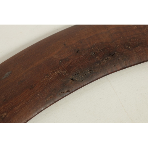 369 - AN UNUSUALLY LARGE 19TH CENTURY ABORIGINAL BOOMERANG in figured hardwood with a slightly bowed surfa... 