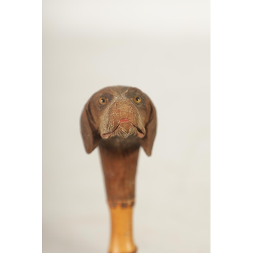 457 - TWO EARLY 20TH CENTURY DOG’S HEAD HANDLED WALKING STICKS both in painted carved wood depicting a Spa... 