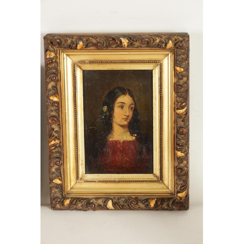 644 - TWO 19TH CENTURY OIL PAINTINGS. Portrait of a girl in red dress, oil on board, and a oil on wooden p... 