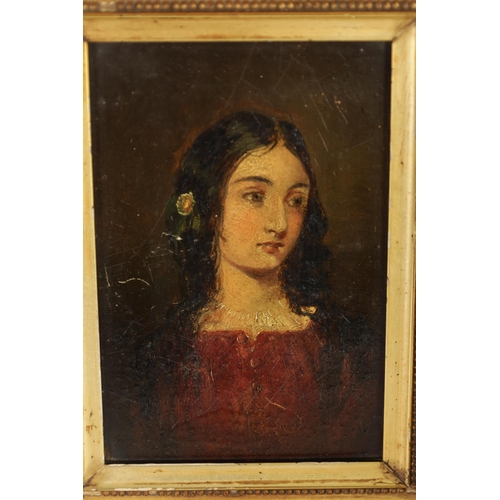 644 - TWO 19TH CENTURY OIL PAINTINGS. Portrait of a girl in red dress, oil on board, and a oil on wooden p... 