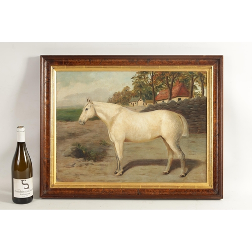 649 - E.S. ENGLAND (Active 1890-1910) OIL ON CANVAS Standing portrait of a grey horse in a country cottage... 