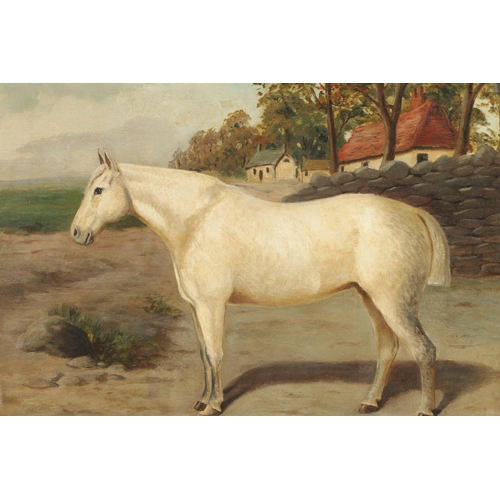 649 - E.S. ENGLAND (Active 1890-1910) OIL ON CANVAS Standing portrait of a grey horse in a country cottage... 