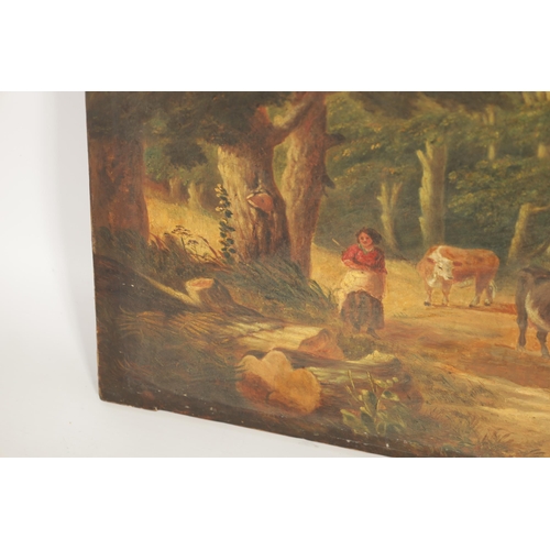 654 - A PAIR OF 19TH CENTURY OILS ON CANVAS depicting cattle on a country lane and cows resting by a lake,... 