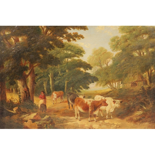 654 - A PAIR OF 19TH CENTURY OILS ON CANVAS depicting cattle on a country lane and cows resting by a lake,... 