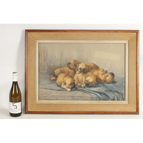 657 - BOISSET - PASTEL DRAWING Puppies sleeping on a cushion. Signed. Glazed wood and canvas frame with pa... 