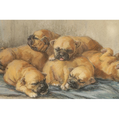 657 - BOISSET - PASTEL DRAWING Puppies sleeping on a cushion. Signed. Glazed wood and canvas frame with pa... 