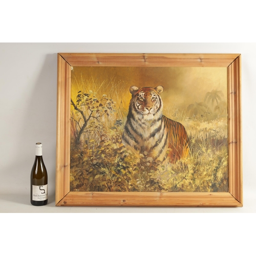 701 - 20TH CENTURY OIL ON CANVAS Animal portrait of a Bengal tiger amongst grasses and shrubs. Bears signa... 