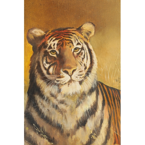 701 - 20TH CENTURY OIL ON CANVAS Animal portrait of a Bengal tiger amongst grasses and shrubs. Bears signa... 