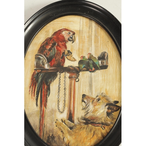 703 - OIL ON OVAL BOARD Perched Red Macaw parrot and dog. (24.5cm high, 17.5cm wide)