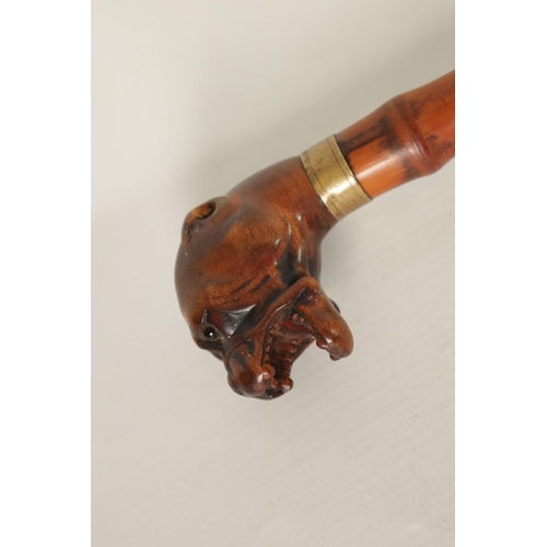 463 - A 19TH CENTURY CARVED BULL DOG HEAD WALKING STICK opened mouthed with amber glass eyes and brass col... 