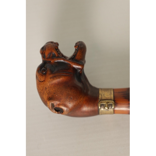 463 - A 19TH CENTURY CARVED BULL DOG HEAD WALKING STICK opened mouthed with amber glass eyes and brass col... 