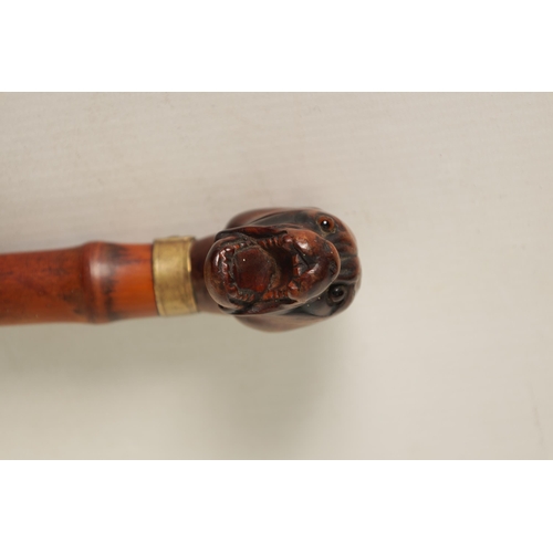 463 - A 19TH CENTURY CARVED BULL DOG HEAD WALKING STICK opened mouthed with amber glass eyes and brass col... 