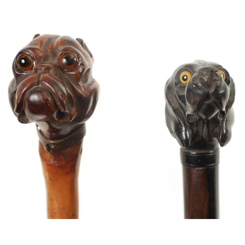 473 - TWO 19TH CENTURY CARVED DOGS HEAD WALKING CANES one depicting a bulldog on a branchwork shaft fitted... 