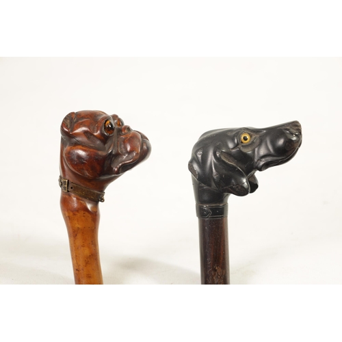 473 - TWO 19TH CENTURY CARVED DOGS HEAD WALKING CANES one depicting a bulldog on a branchwork shaft fitted... 