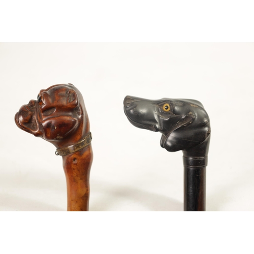 473 - TWO 19TH CENTURY CARVED DOGS HEAD WALKING CANES one depicting a bulldog on a branchwork shaft fitted... 