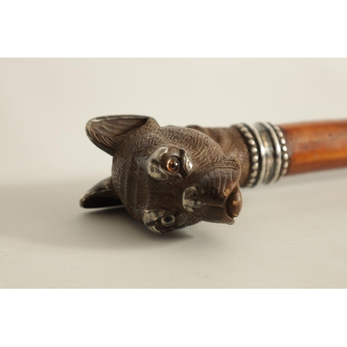 478 - A FRENCH 19TH CENTURY CARVED BOXWOOD AND SILVER MOUNTED BULL DOG WALKING STICK set with amber glass ... 