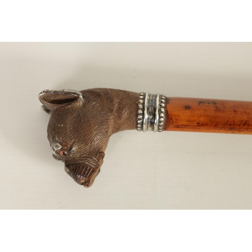 478 - A FRENCH 19TH CENTURY CARVED BOXWOOD AND SILVER MOUNTED BULL DOG WALKING STICK set with amber glass ... 