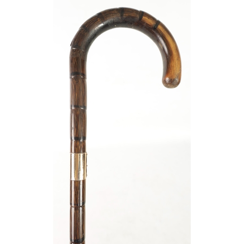 488 - A LATE 19TH CENTURY PALM WOOD WALKING STICK with crook handle and 9ct gold collar (87cm overall )