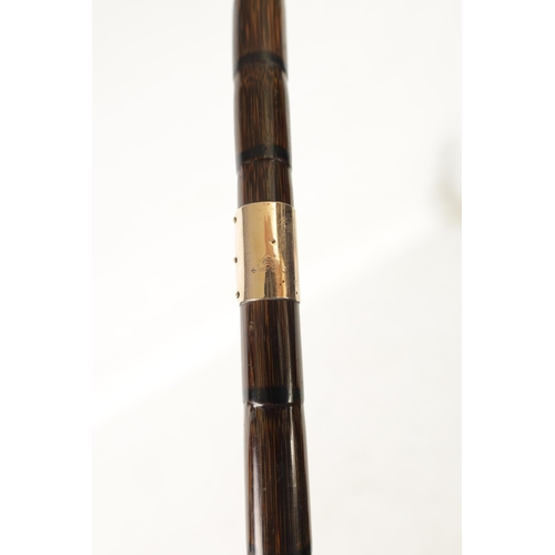 488 - A LATE 19TH CENTURY PALM WOOD WALKING STICK with crook handle and 9ct gold collar (87cm overall )