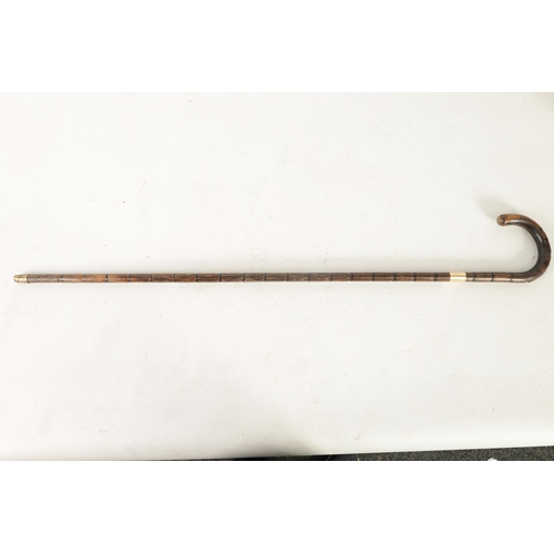 488 - A LATE 19TH CENTURY PALM WOOD WALKING STICK with crook handle and 9ct gold collar (87cm overall )