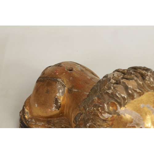 499 - A GOOD LARGE PAIR OF 18TH CENTURY CARVED GILT WOOD ITALIAN RECUMBENT LIONS mounted on ebonised recta... 