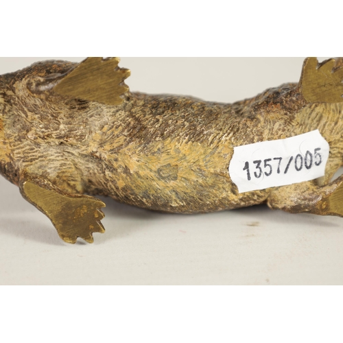 530 - A LATE 19TH-CENTURY BERGMAN COLD-PAINTED BRONZE SCULPTURE OF AN OTTER stamped beneath (17cm wide 4cm... 